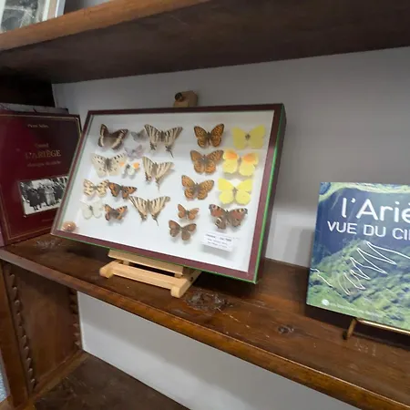 Le Marmare * Caussou